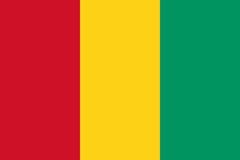 Guinean flag