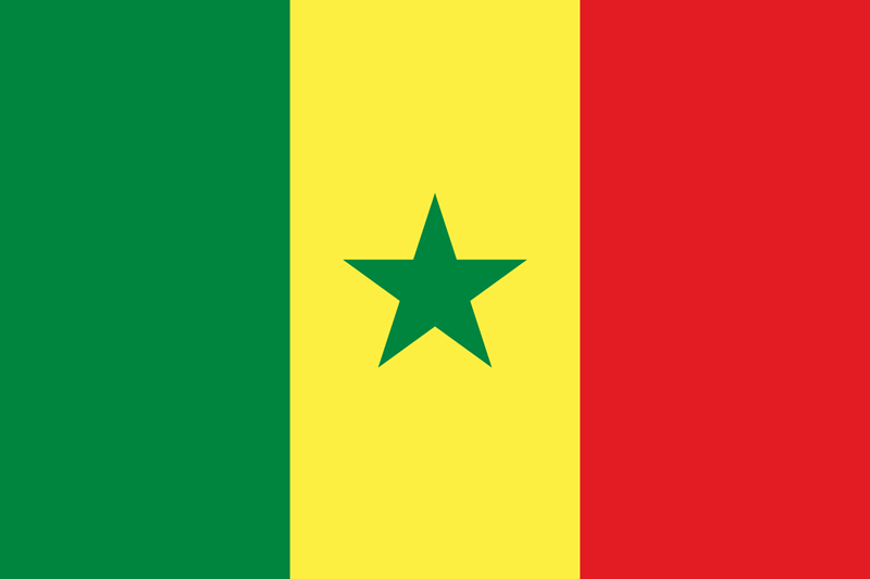 Congolese flag