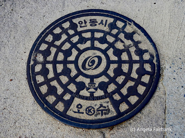 drain cover