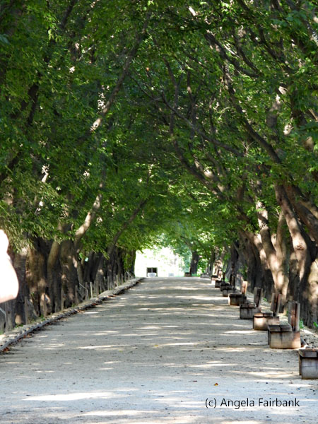 village walkway
