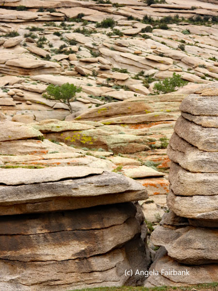 rocky mountain