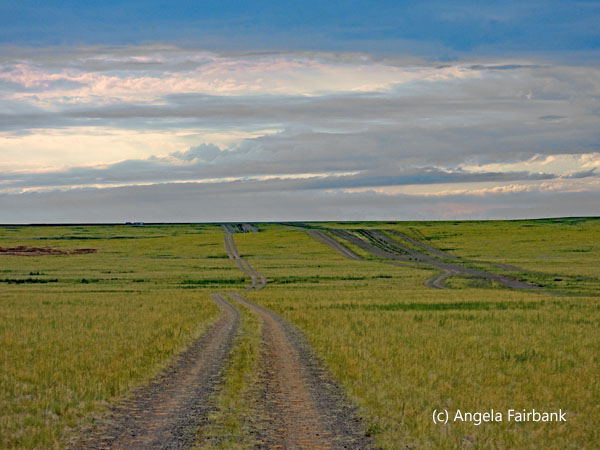 off road at sunset