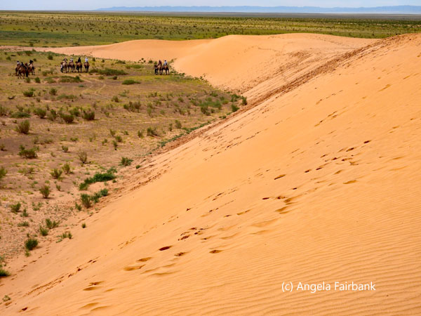 sand dune