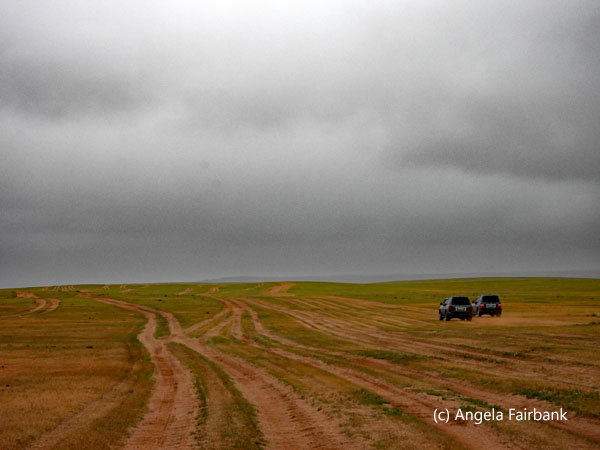 vehicle tracks in the countryside