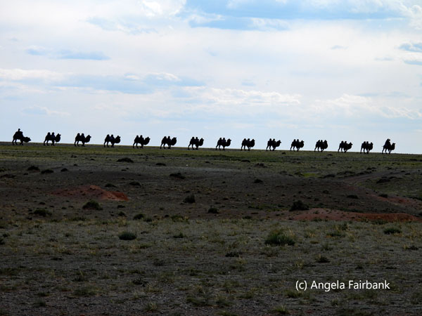 row of camels statue