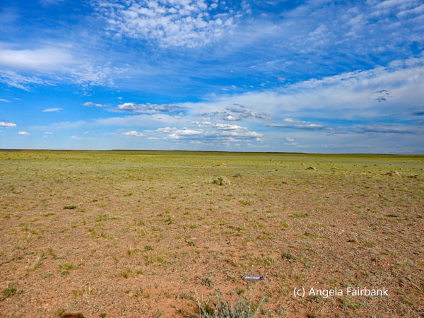 horizon looking the opposite way