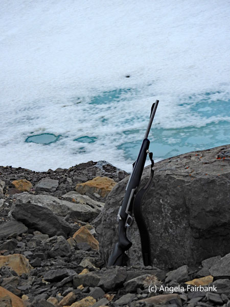polar bear rifle
