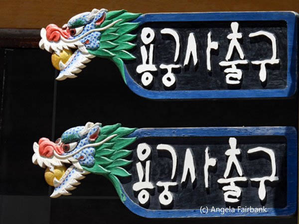 dragon signs