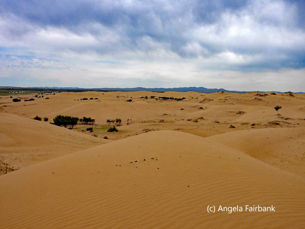 sand dune