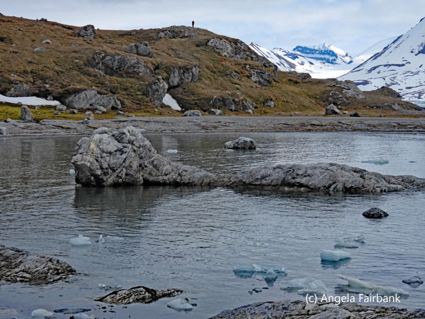 rocks in water
