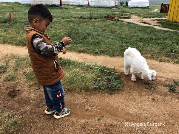 boy with goat