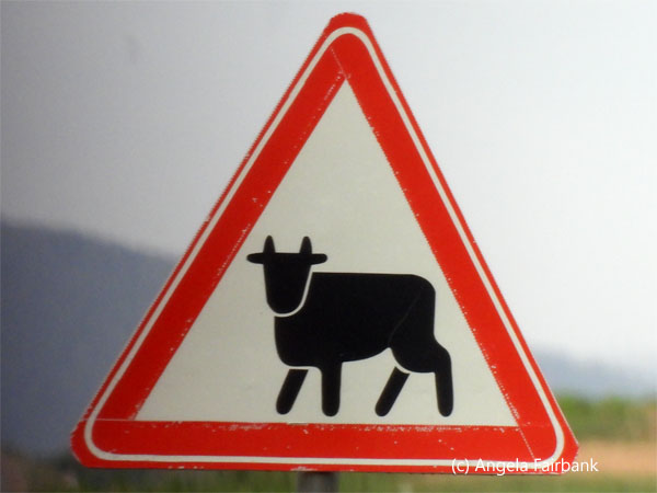 livestock crossing