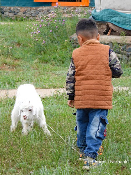 boy with goat 2