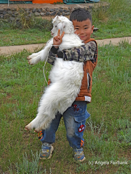 boy holding goat