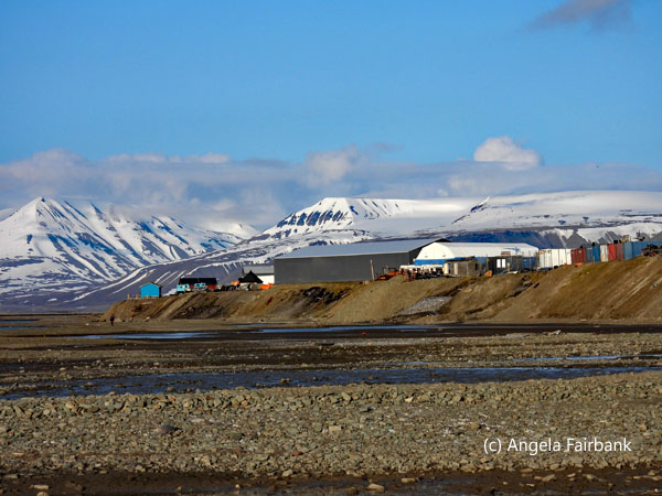 landscape 2