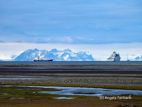 ships in harbour