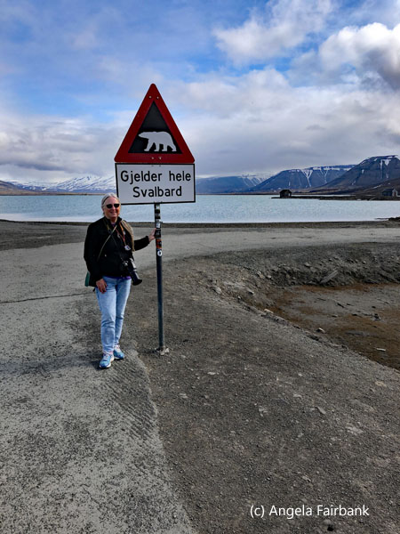 me with polar bear warning sign