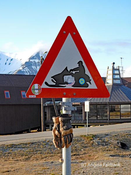 skidoo sign