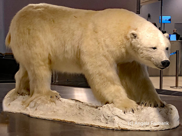 stuffed polar bear