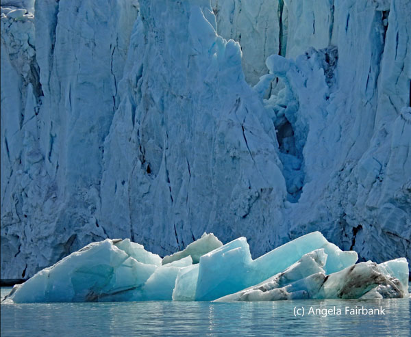 iceberg in front of glacier