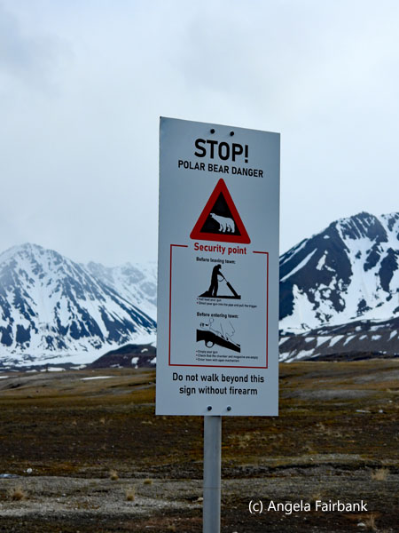 polar bear stop sign