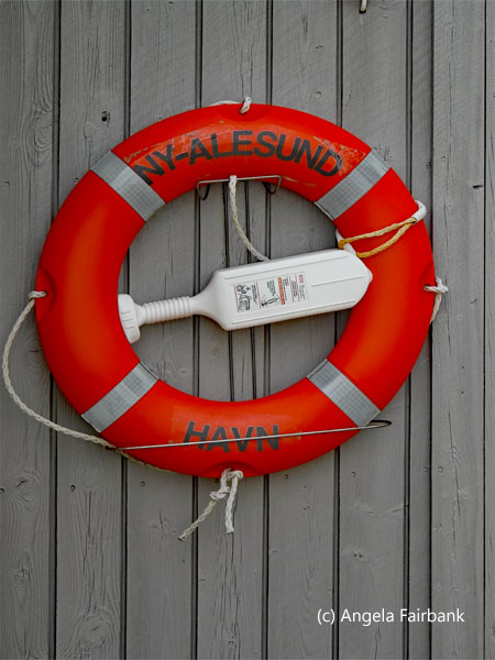 life buoy