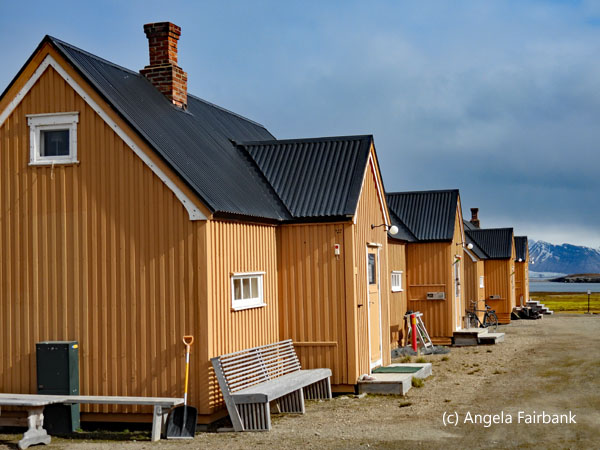 orange houses