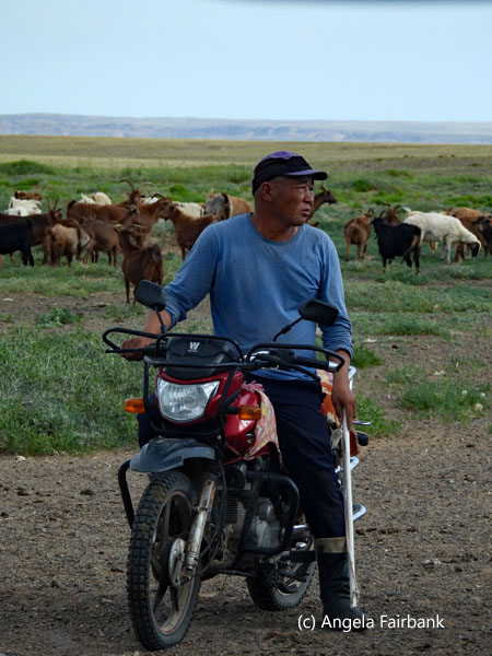 herder on motorcycle 2