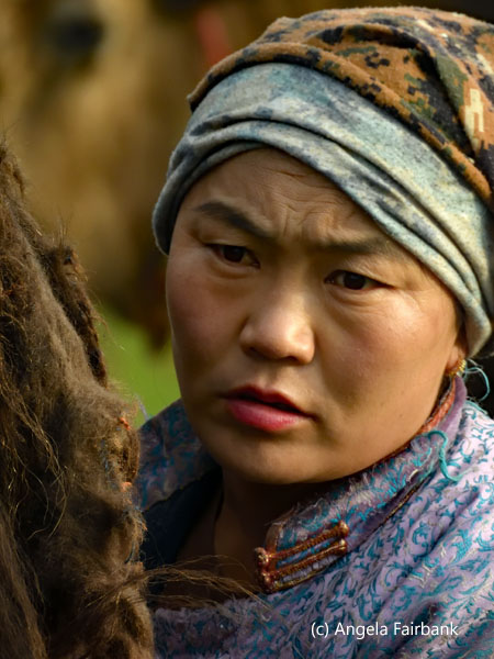 daughter-in-law milking yak 3