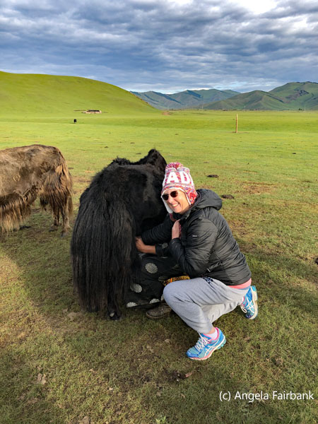 me milking a yak