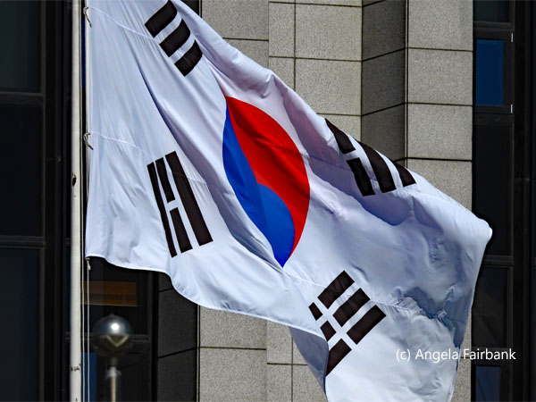 south korean flag