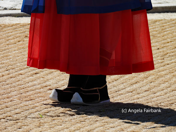 shoes of soldier