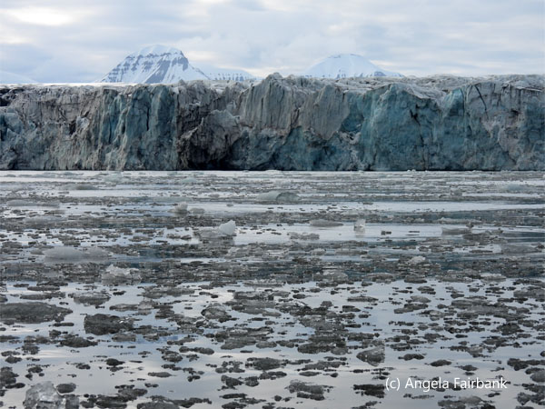 ice in front of glacier