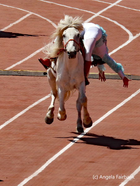 man leaning over back of horse