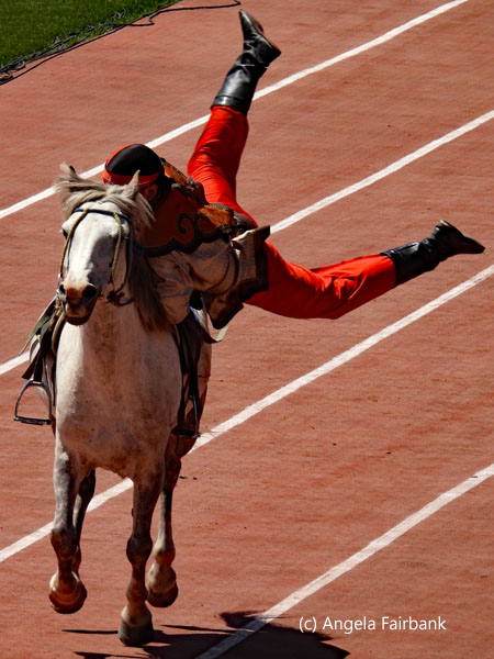 man jumping over horse