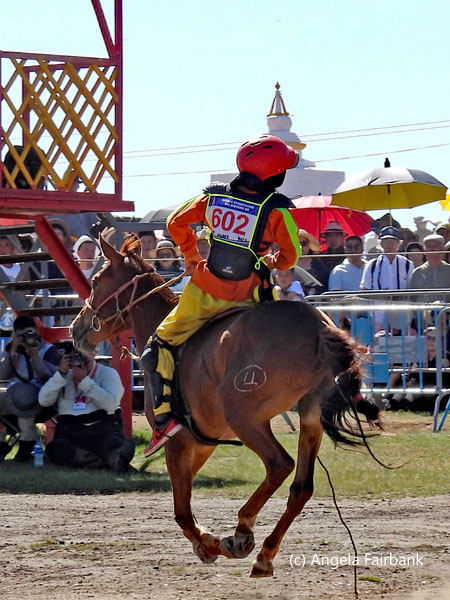 rider 602