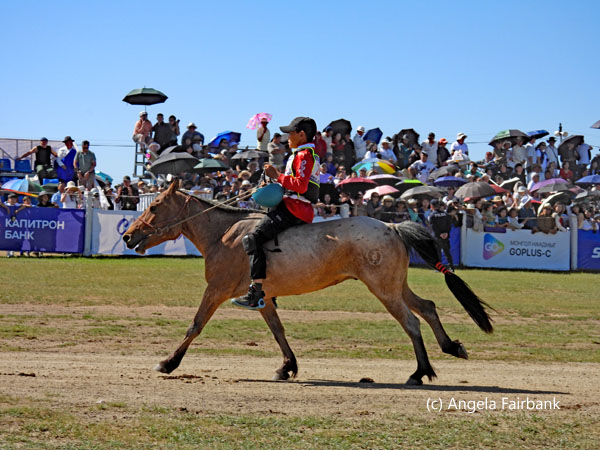 rider in red on horse