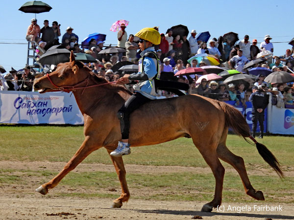 rider in blue on horse
