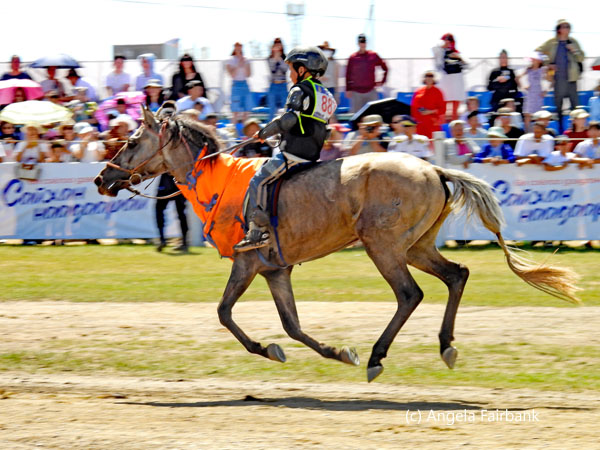rider of horse wearing orange cover