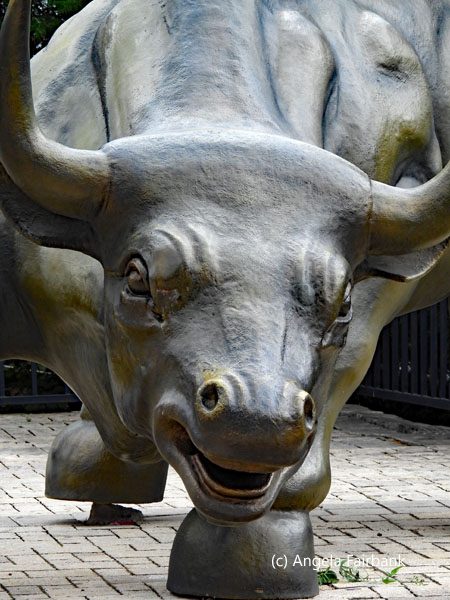 bronze bull