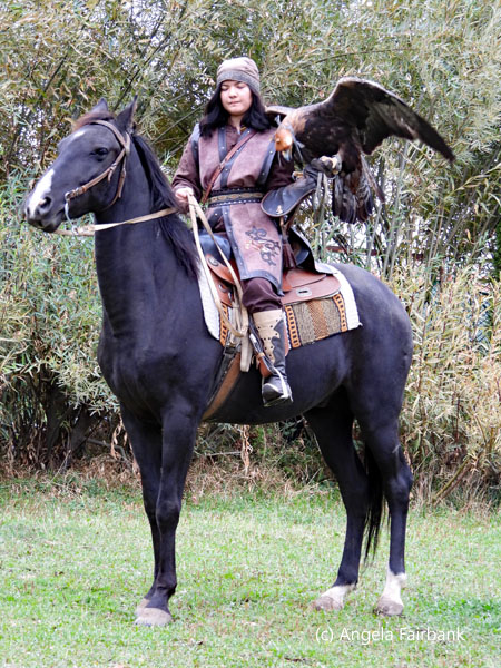 golden eagle with trainer on horseback