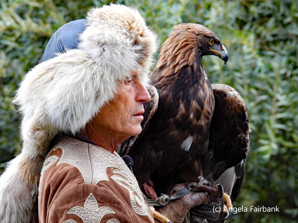 golden eagle with German trainer