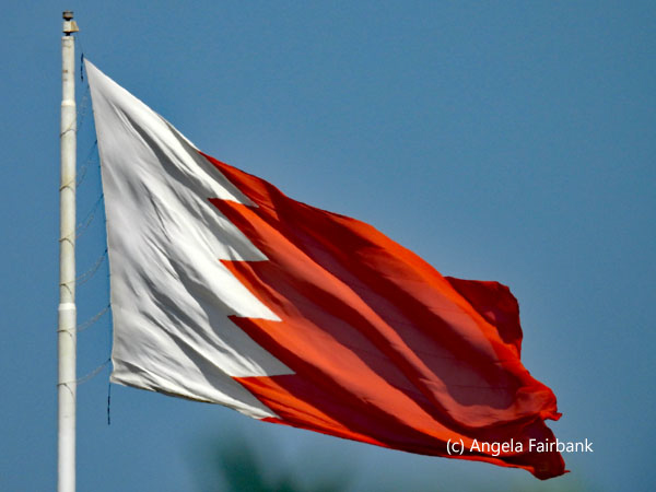 bahraini flag