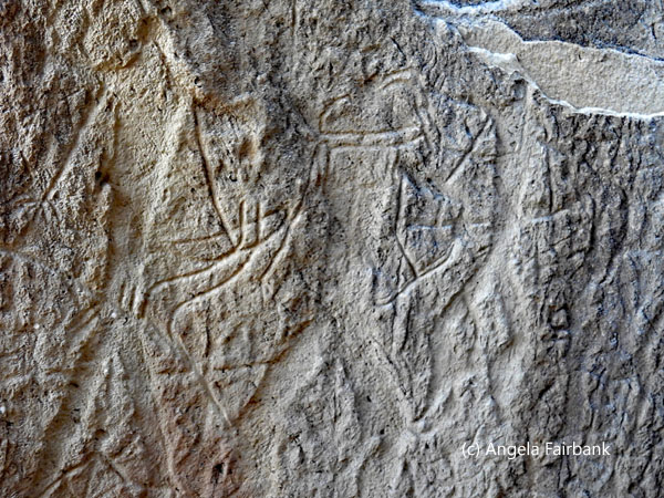 petroglyph 1