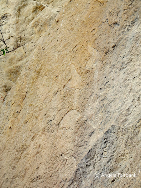 petroglyph 7