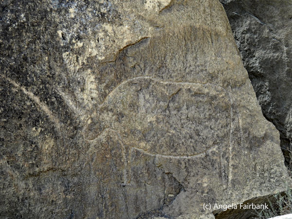 petroglyph 8