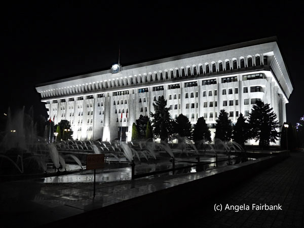 government building at night