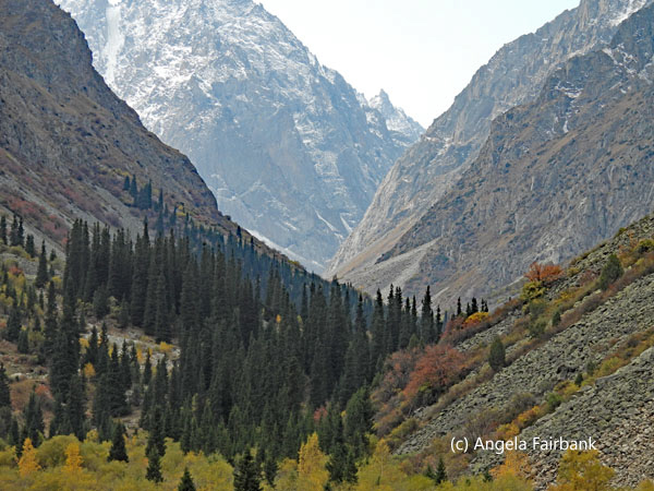 Ala Archa gorge view 5
