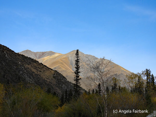 Ala Archa gorge view 6