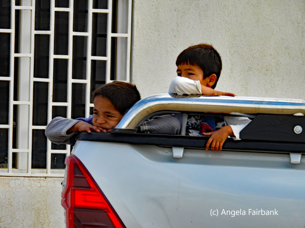 2 boys in the back of a truck